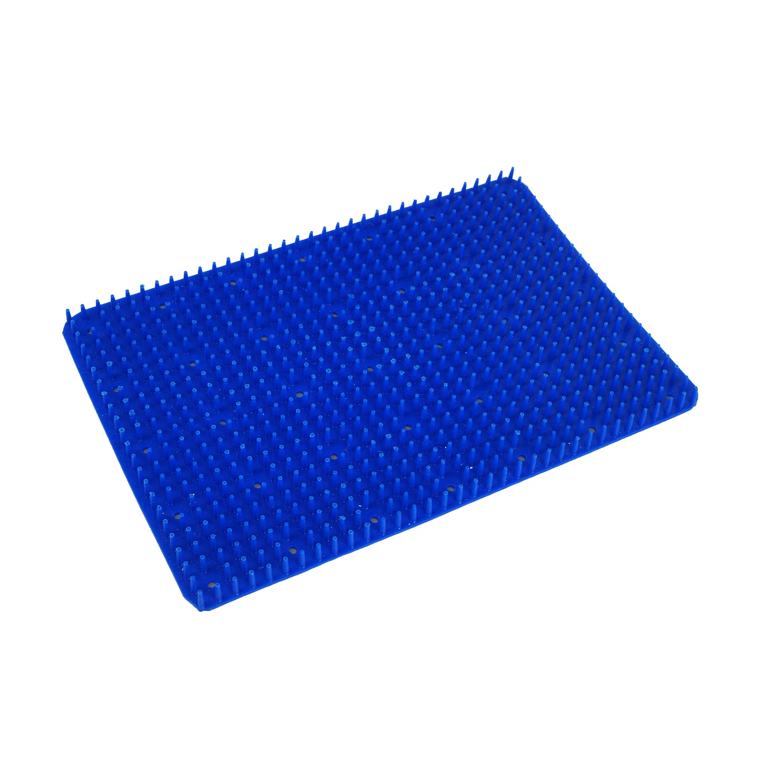 Sterilization Wire Basket with Lid and Silicone Mat